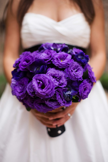 Home Search results for'purple gerber daisy wedding bouquet'